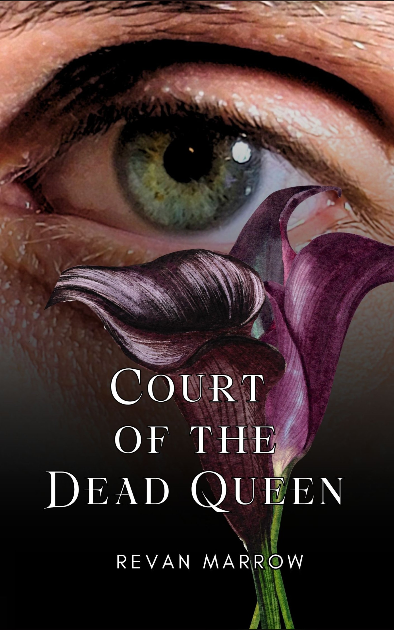 Court of the Dead Queen cover