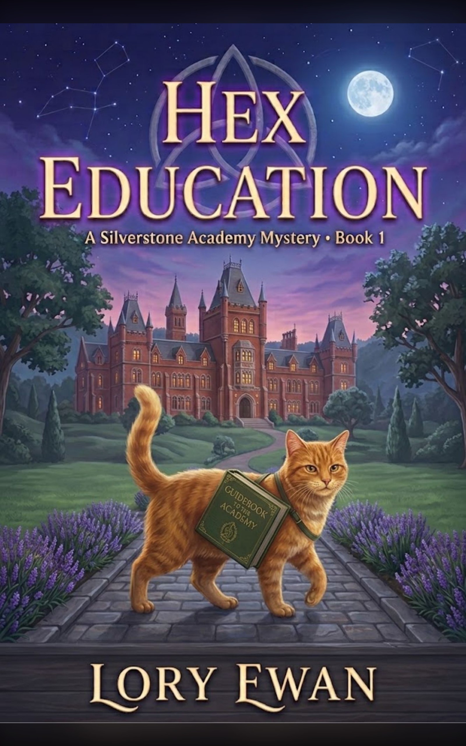 Hex Education cover